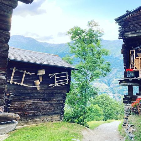 Alte Bock 2.0 Bed & Breakfast Grächen Dış mekan fotoğraf